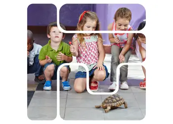 Animals in the Classroom