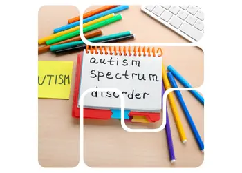 Autism Spectrum Disorder