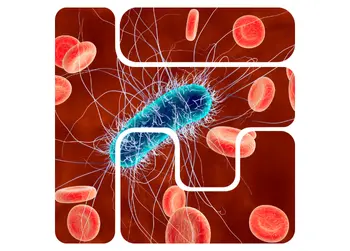 Bloodborne Pathogens, Child Care