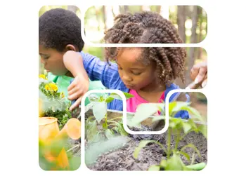 Basic Curriculum IV: Manipulatives & Outdoor