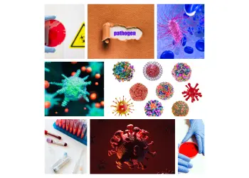 Bloodborne Pathogens