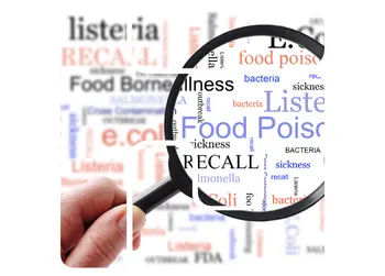 Basic Kitchen Sanitation